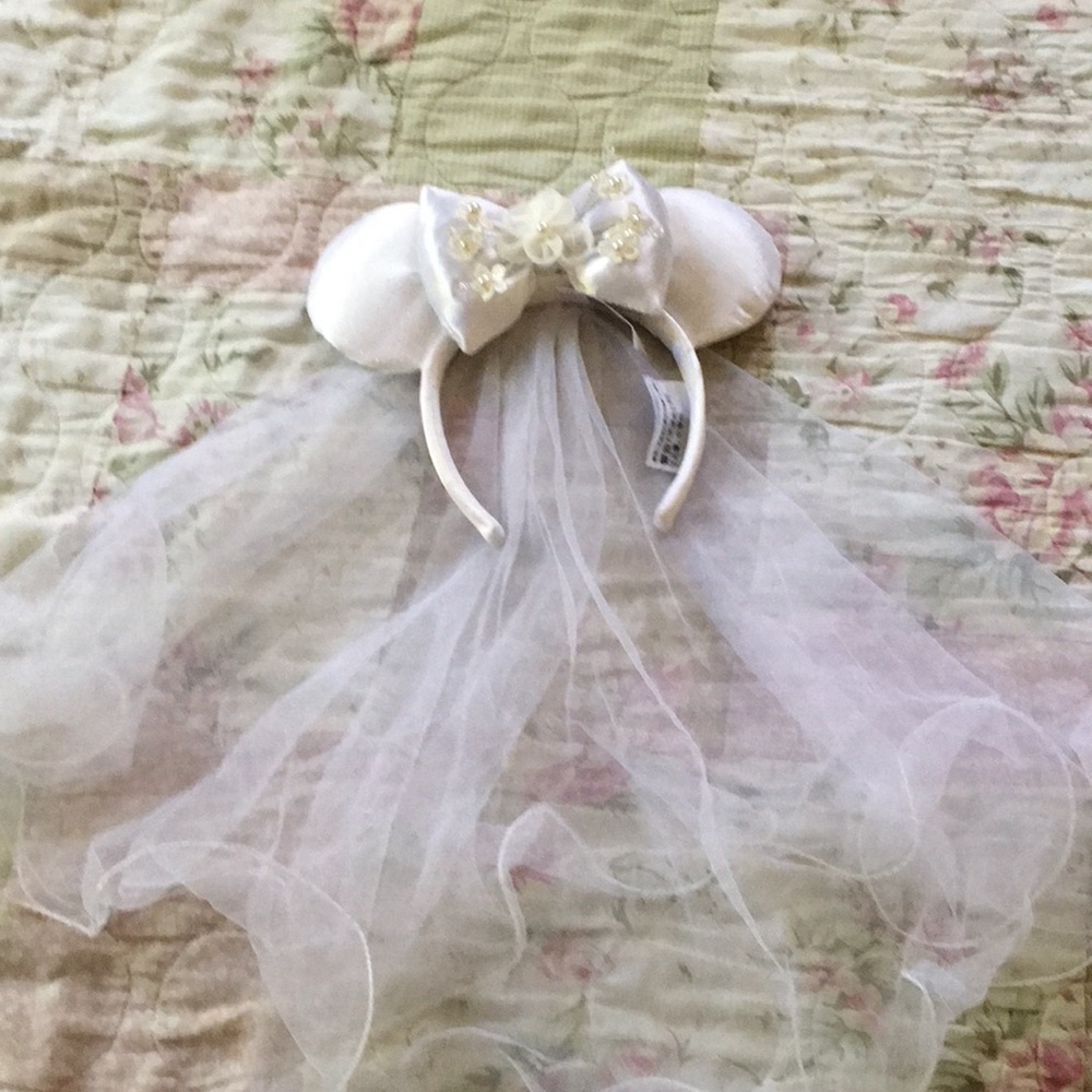 Bridal head veil covering from Disney World